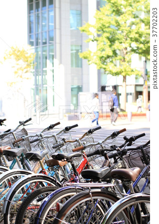 自行車停放處，自行車內襯人行道與樹木 37702203
