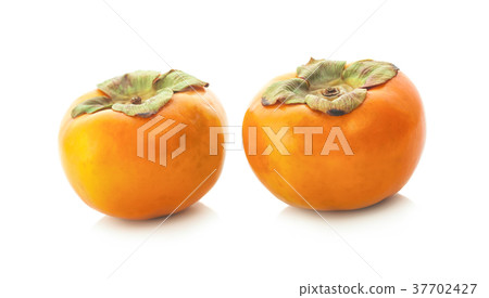 fresh ripe persimmons isolated on white background 37702427