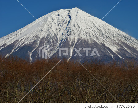 兇猛的季節富士 兇猛的季節富士 37702589