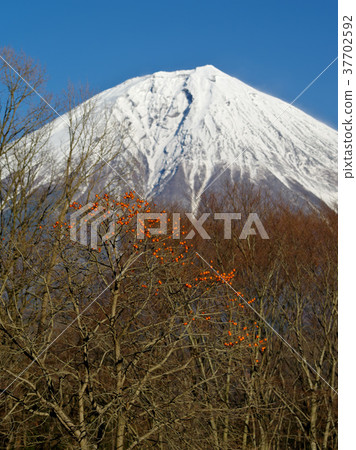 兇猛的季節富士 兇猛的季節富士 37702592