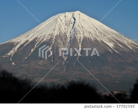 兇猛的季節富士 兇猛的季節富士 37702593