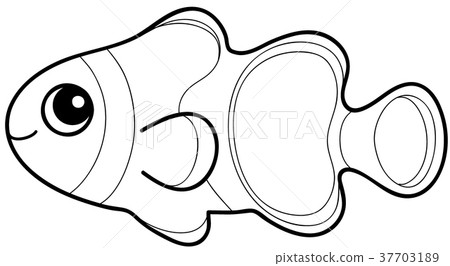 Clownfish Coloring Page Stock Illustration 37703189 Pixta