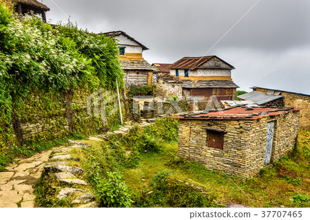Village of Dhampus in the Himalayas mountains in Village of Dhampus in the Himalayas mountains in 37707465
