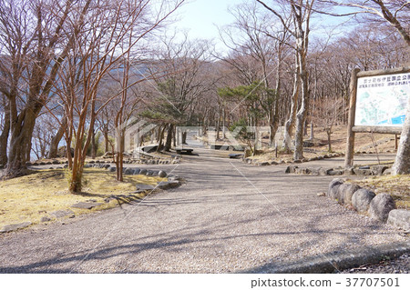 湖濱聯繫公園 37707501