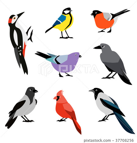 Set of winter birds. Flat design vector birds icon Set of winter birds. Flat design vector birds icon 37708256