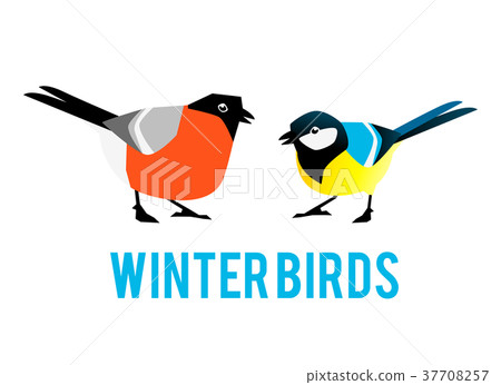 Winter birds are tit and bullfinch. Winter birds are tit and bullfinch. 37708257