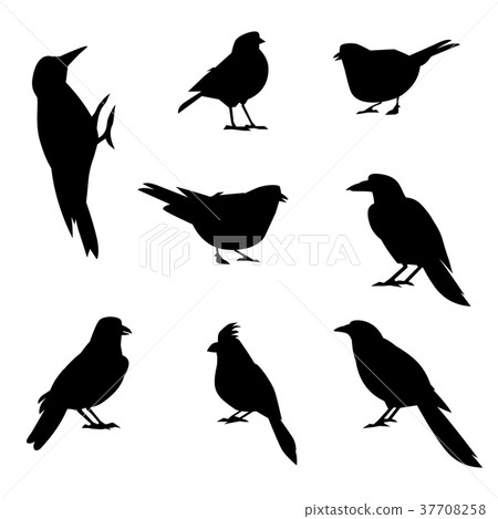 A set of silhouettes of winter birds. 37708258