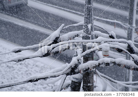 Snowfall on the electric wire Snow and road background background c Close-up Snowfall on the electric wire Snow and road background background c Close-up 37708348