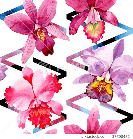 Wildflower pink orchid flower pattern in a Wildflower pink orchid flower pattern in a 37708475