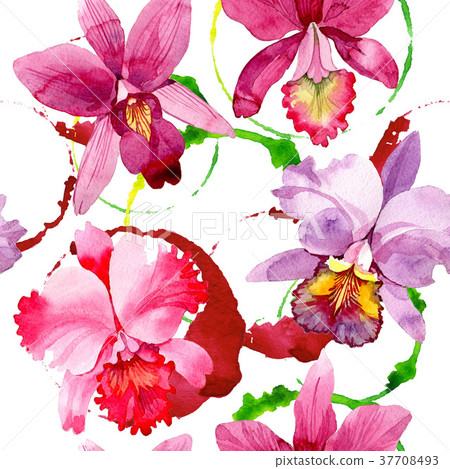 Wildflower pink orchid flower pattern in a Wildflower pink orchid flower pattern in a 37708493