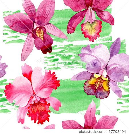 Wildflower pink orchid flower pattern in a 37708494
