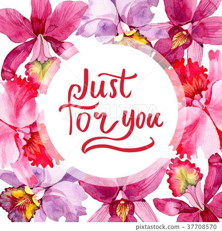 Wildflower pink orchid flower frame in a 37708570