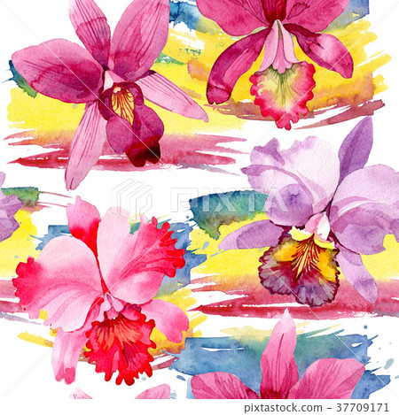 Wildflower pink orchid flower pattern in a 37709171