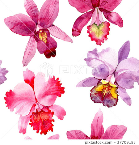 Wildflower pink orchid flower pattern in a 37709185
