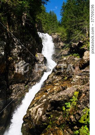 Alpine waterfall Riesachwasserfall, Austria Alpine waterfall Riesachwasserfall, Austria 37709196
