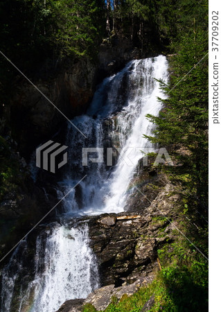 Alpine waterfall Riesachwasserfall, Austria 37709202