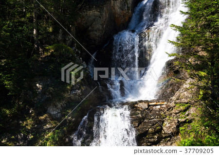 Alpine waterfall Riesachwasserfall, Austria Alpine waterfall Riesachwasserfall, Austria 37709205