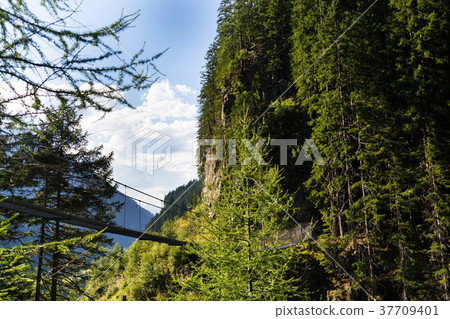 Suspension bridge on Alpine trail Hell gorge 37709401
