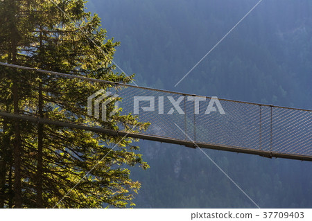 Suspension bridge on Alpine trail Hell gorge 37709403