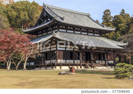 Negeiji Temple Late Autumn 37709690