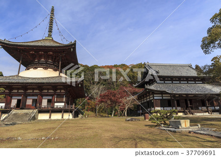 內格吉寺晚秋 內格吉寺晚秋 37709691