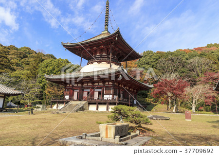 內格吉寺晚秋 37709692