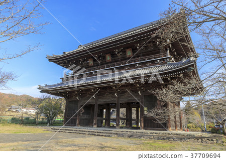 Negeiji Temple Late Autumn 37709694