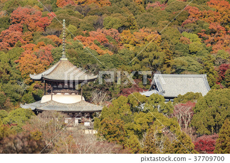 內格吉寺晚秋 內格吉寺晚秋 37709700