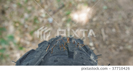 Bike wheel with thorns Bike wheel with thorns 37710426