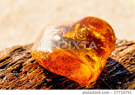 Amber on a beach of the Baltic Sea Amber on a beach of the Baltic Sea 37710791