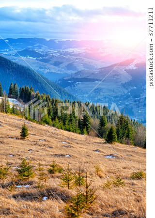 Scenic winter view on top of the Carpathian Scenic winter view on top of the Carpathian 37711211