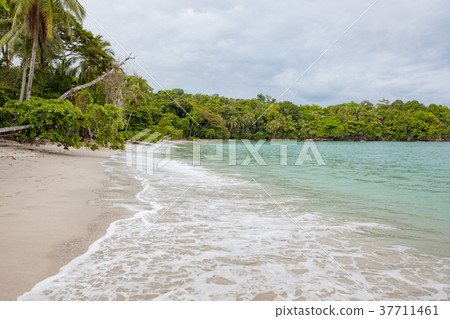 Beach Manuel Antonio Costa Rica 37711461