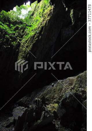 Cave opening to lush forest Cave opening to lush forest 37711478