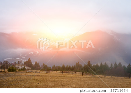 Beautiful view with morning fog in early spring Beautiful view with morning fog in early spring 37711654