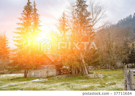 View on the carpathian pinewood house View on the carpathian pinewood house 37711684