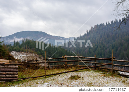 Pinewood fence on the background of winter  37711687
