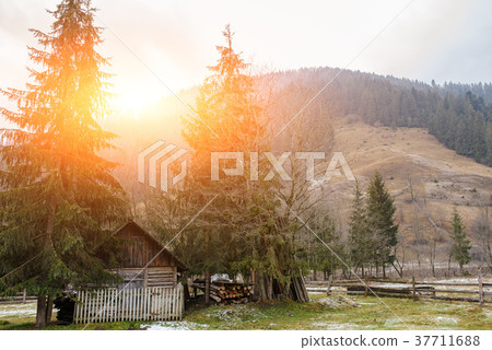 View on the carpathian pinewood house 37711688
