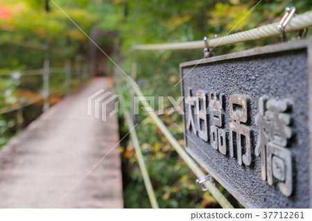 大杉谷(三重縣多木郡大代町),日本100個最偉大的山谷和100個未開發地區之一*照片位置信息可在作品的評論部分找到 大杉谷(三重縣多木郡大代町),日本100個最偉大的山谷和100個未開發地區之一*照片位置信息可在作品的評論部分找到 37712261