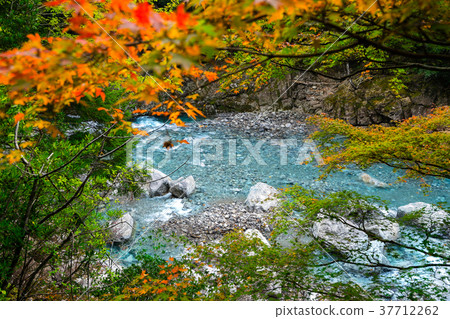 大杉谷(三重縣多木郡大代町),日本100個最偉大的山谷和100個未開發地區之一*照片位置信息可在作品的評論部分找到 大杉谷(三重縣多木郡大代町),日本100個最偉大的山谷和100個未開發地區之一*照片位置信息可在作品的評論部分找到 37712262