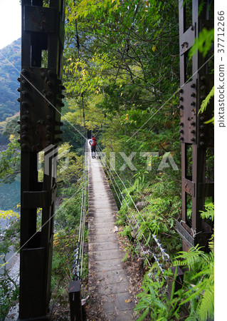 Osugi Valley (Odai-cho, Taki-gun, Mie Prefecture), one of the 100 Greatest Valleys in Japan and 100 unexplored areas *Photo location information is available in the comment section of the work 37712266