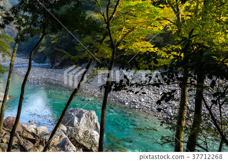 大杉谷（三重縣多木郡大代町），日本100個最偉大的山谷和100個未開發地區之一*照片位置信息可在作品的評論部分找到 37712268