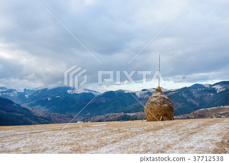 One haycock on the winter carpathian valley 37712538