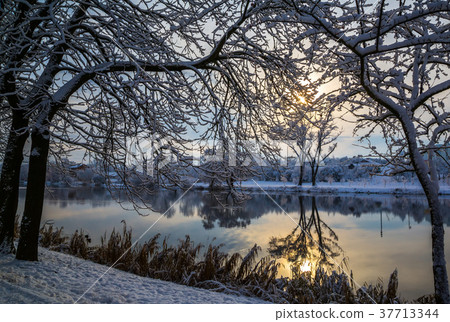 winter landscape with trees winter landscape with trees 37713344