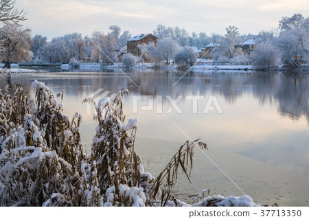 winter landscape with trees winter landscape with trees 37713350