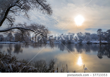 winter landscape with trees winter landscape with trees 37713353