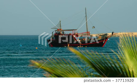 Old Sailing Ship. View through the tops of the Old Sailing Ship. View through the tops of the 37713920