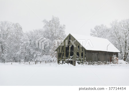 Abandoned wooden house in winter 37714454