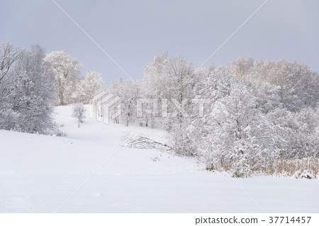 Countryside winter landscape Countryside winter landscape 37714457