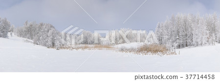 Countryside winter landscape 37714458