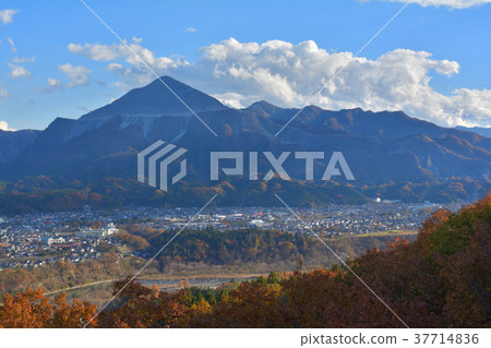 秩父繆斯公園 37714836